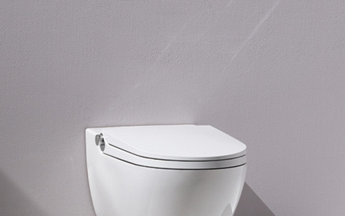 Laufen Cleanet Riva UP